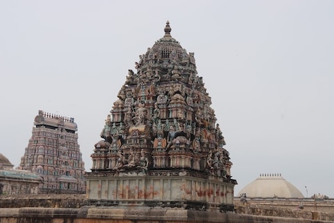 Thillai Nataraja Temple