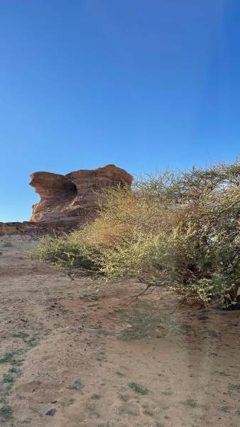 Al_Ula_Jar_Rock_10