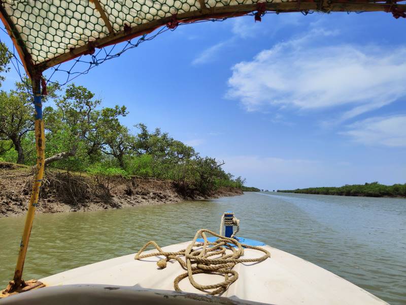 Balasore_Balasore_Bichitrapur_Mangrove_Sanctuary_2