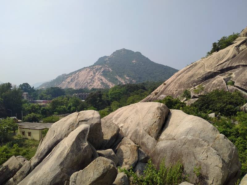 Balasore_Kuldiha_Wildlife_Sanctuary_2