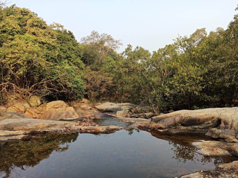 Balasore_Kuldiha_Wildlife_Sanctuary_9