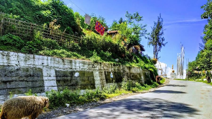 Bomdila_Dirang_Valley_10