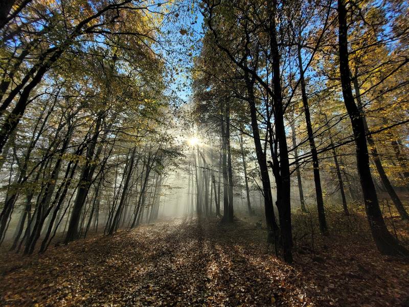 Budapest_Danube_Park_3