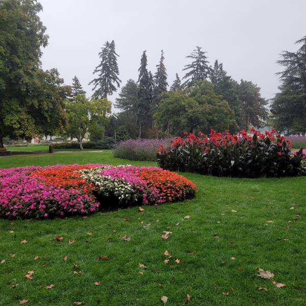 Budapest_Margaret_Island_7