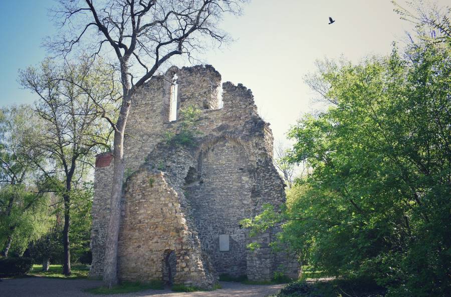 Budapest_Margaret_Island_9