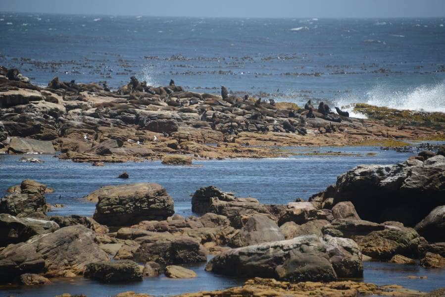 Cape_Town_Cape_of_Good_Hope_3