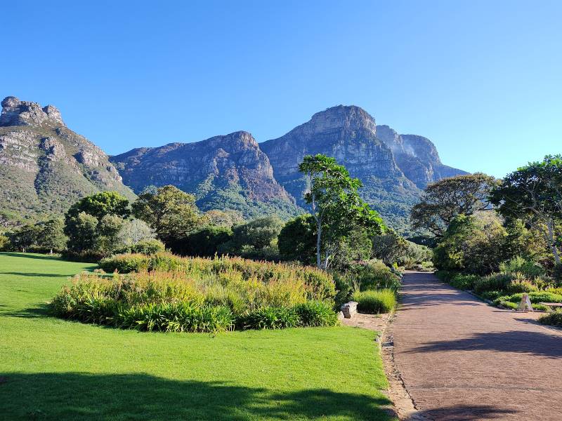 Cape_Town_Kirstenbosch_National_Botanical_Gardens_1