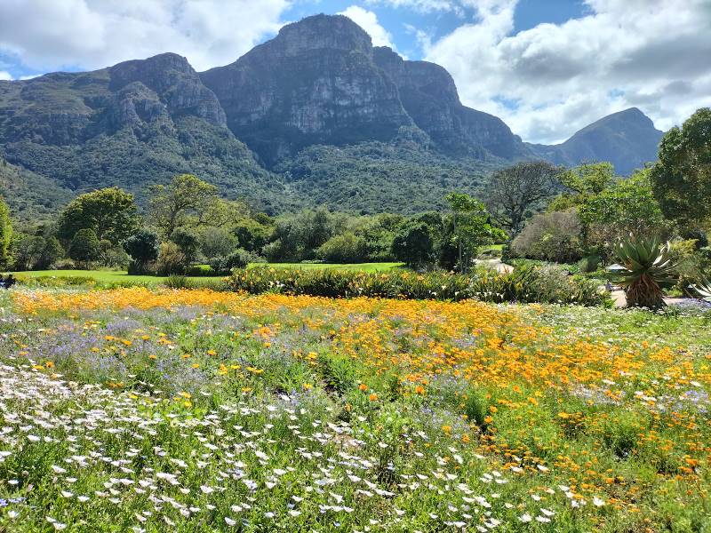 Cape_Town_Kirstenbosch_National_Botanical_Gardens_2