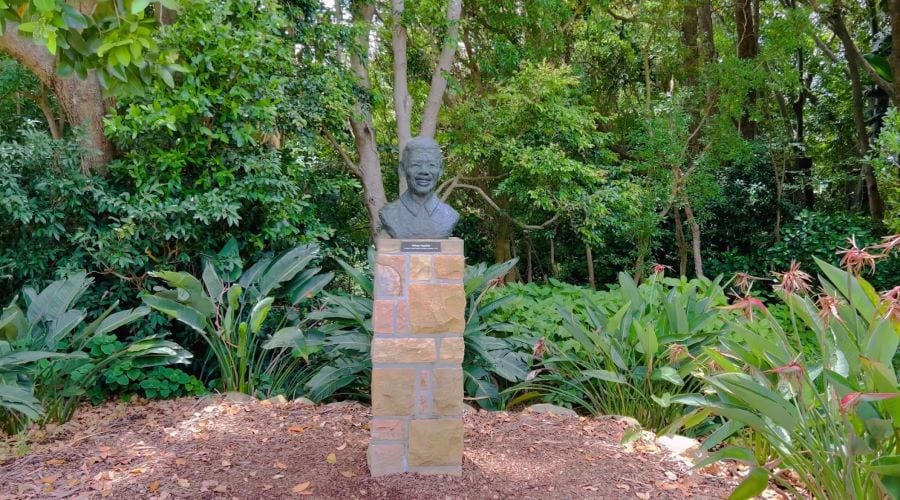 Cape_Town_Kirstenbosch_National_Botanical_Gardens_9