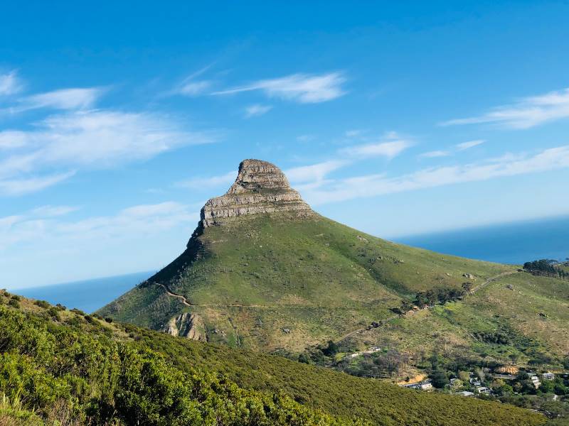 Cape_Town_Lions_Head_1