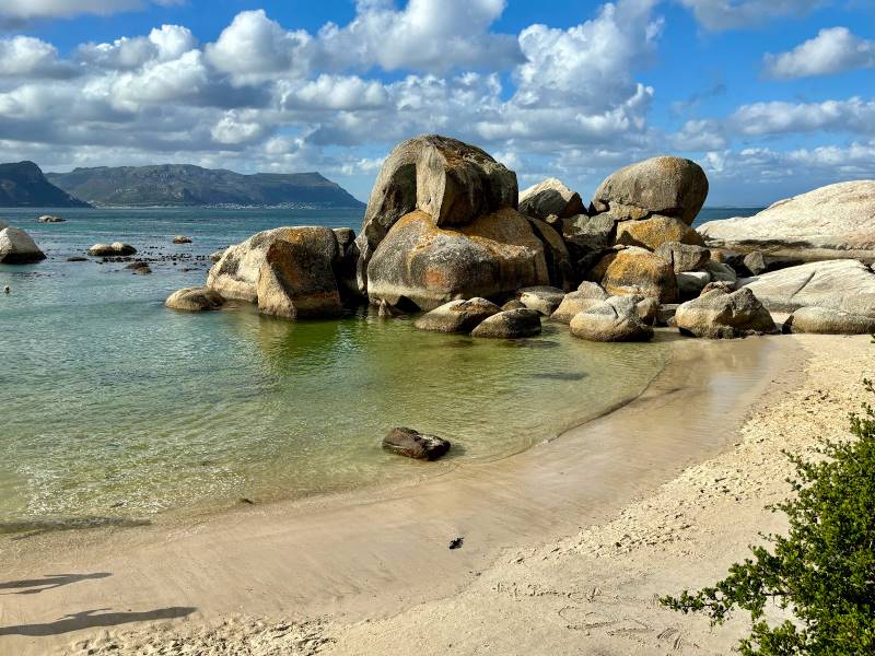 Cape_Town_Penguins_at_Boulders_Beach_2