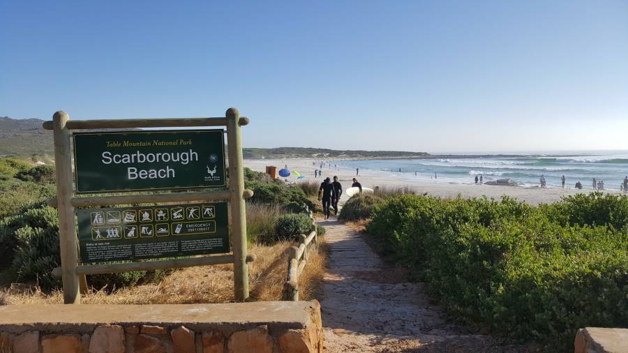 Cape_Town_Scarborough_Beach_7