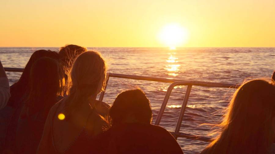 Cape_Town_Sunset_Cruise_Cape_Town_1