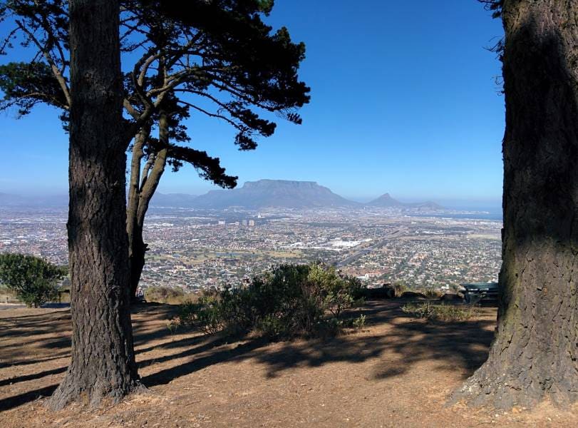 Cape_Town_Tygerberg_Nature_Reserve_10