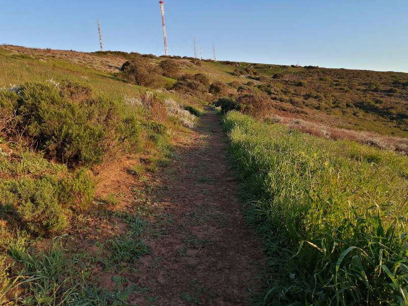Cape_Town_Tygerberg_Nature_Reserve_2
