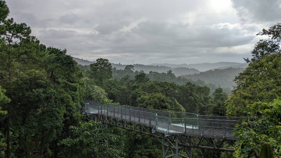 Chiang_Mai_Canopy_Walkway_1