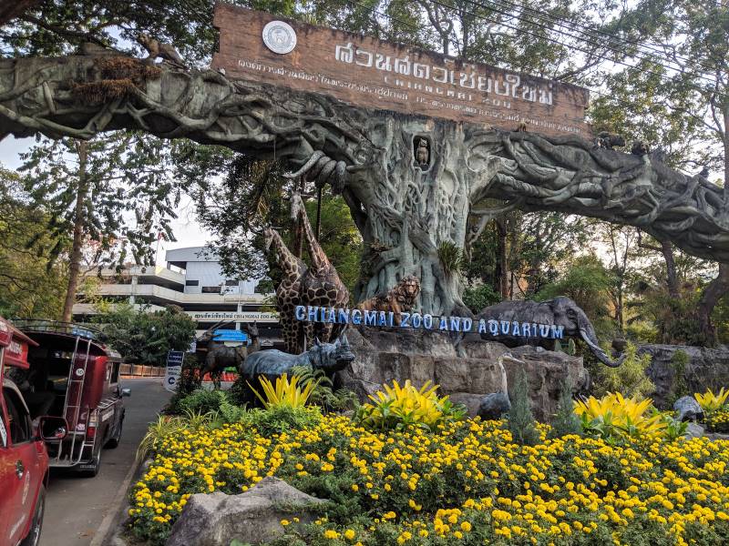 Chiang_Mai_Chiang_Mai_Zoo_3