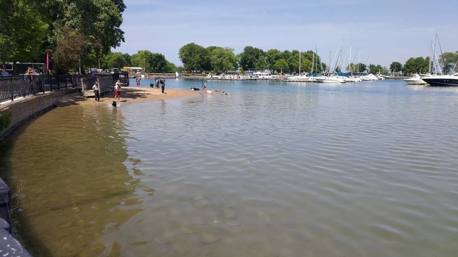 Chicago_Belmont_Harbor_Dog_Beach_1