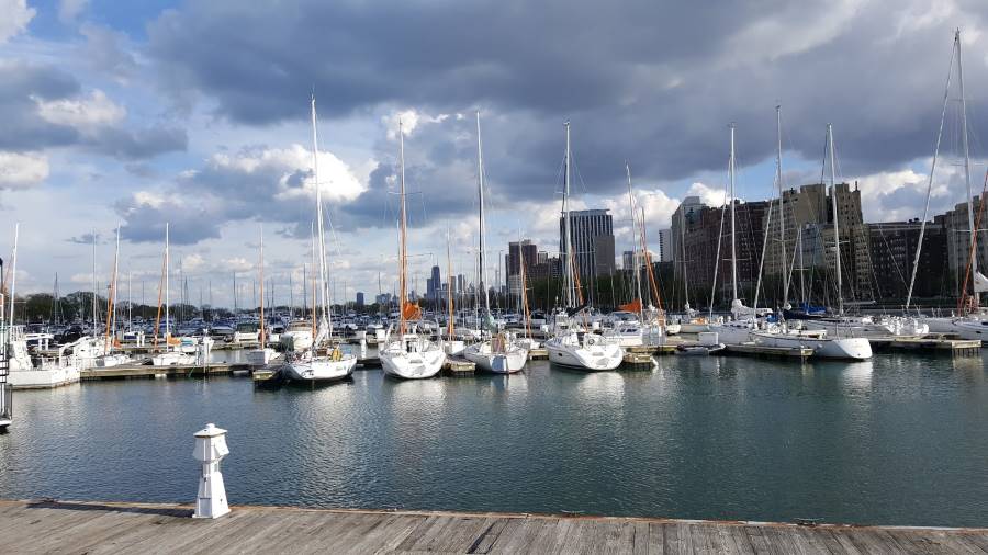 Chicago_Belmont_Harbor_Dog_Beach_2
