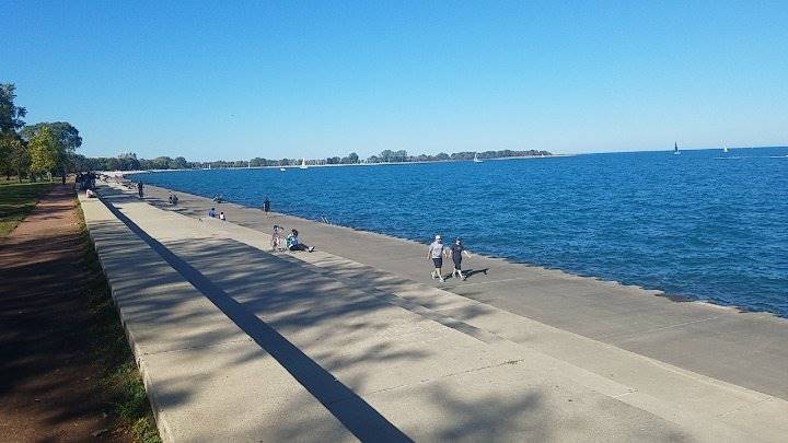 Chicago_Belmont_Harbor_Dog_Beach_5