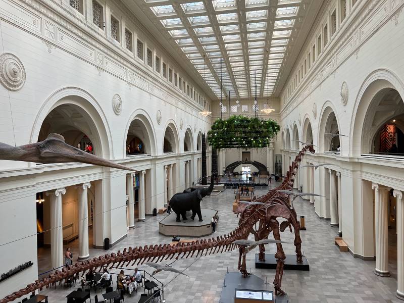Chicago_Field_Museum_1