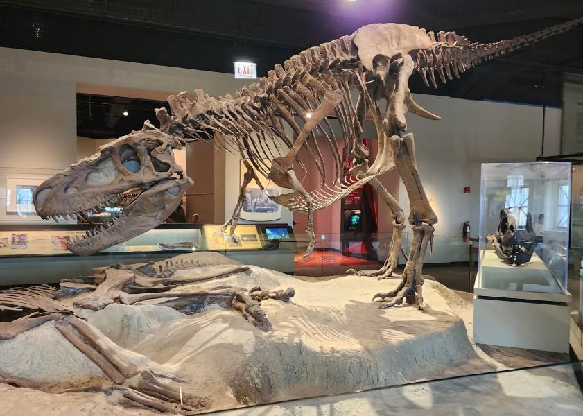 Chicago_Field_Museum_4