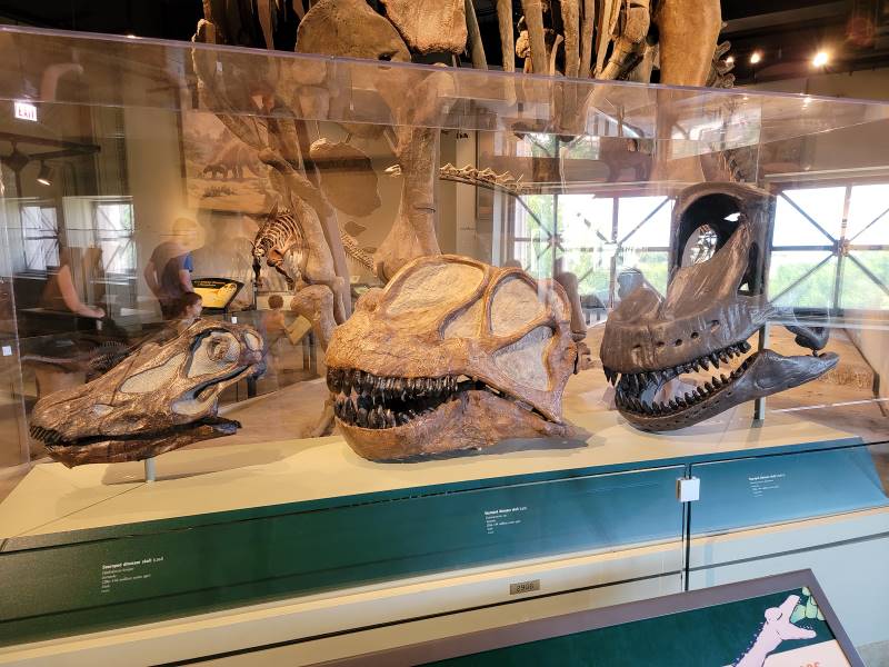 Chicago_Field_Museum_8