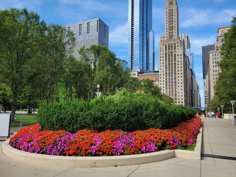 Chicago_Millennium_Park_3
