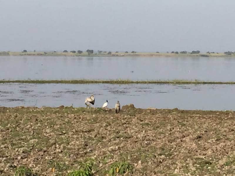 Chikhaldara_Kalapani_Lake_3