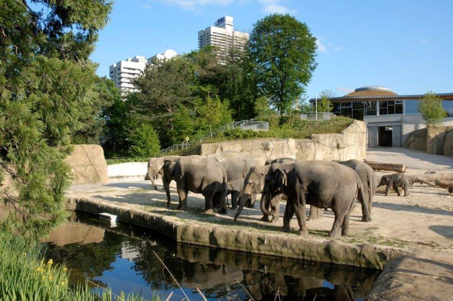 Cologne_Cologne_Zoological_Museum_1
