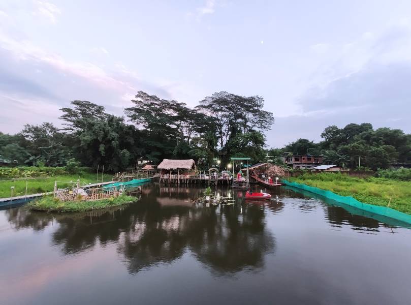 Dibrugarh_Blossom_Exotica_8