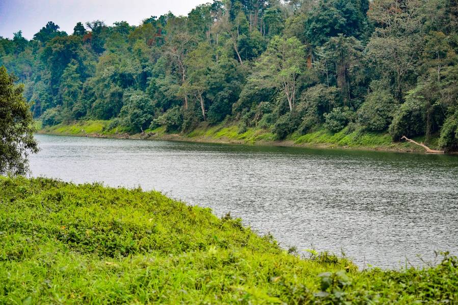 Dibrugarh_Joypur_Rainforest_5