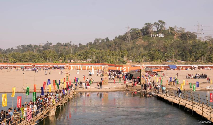 Dibrugarh_Joypur_Rainforest_7