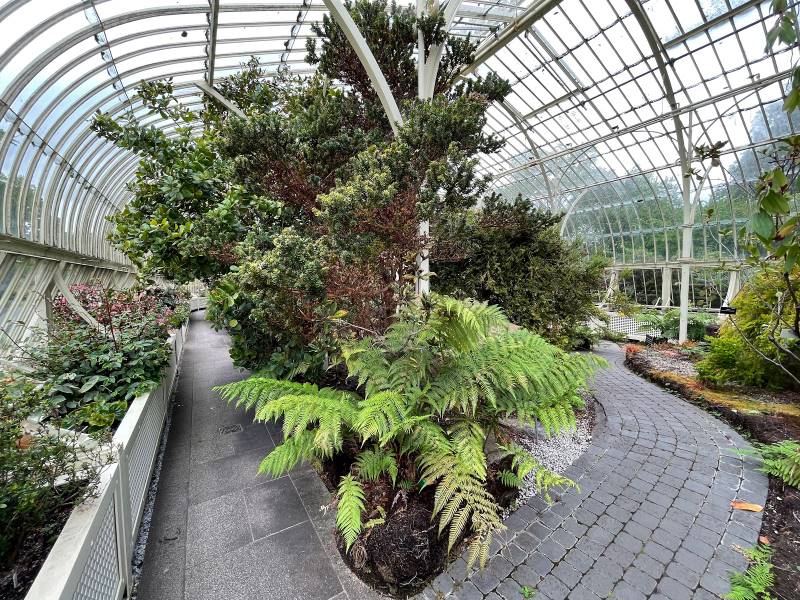Dublin_National_Botanic_Gardens_2
