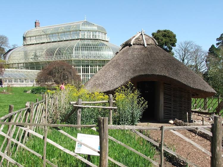 Dublin_National_Botanic_Gardens_3