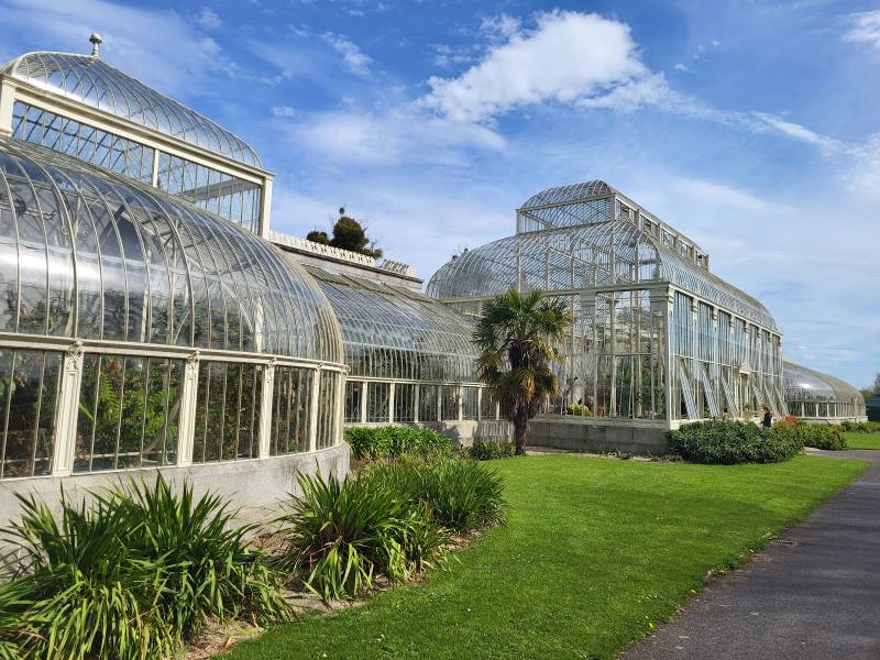 Dublin_National_Botanic_Gardens_6