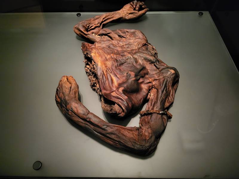 Dublin_National_Museum_of_Ireland-Archaeology_6