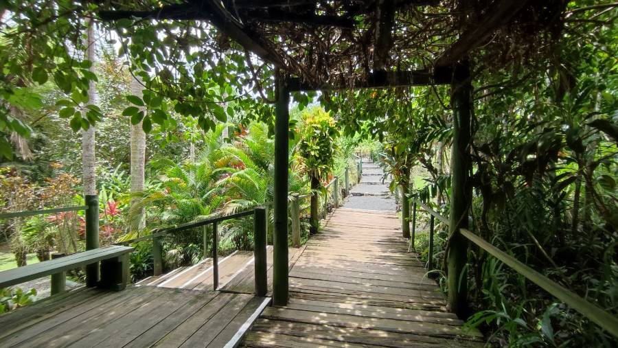 Fiji_Garden_of_the_Sleeping_Giant_1