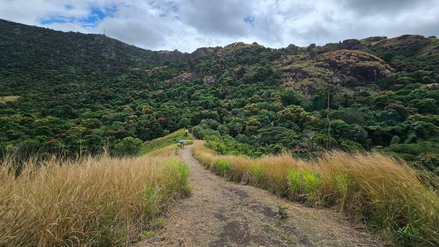 Fiji_Garden_of_the_Sleeping_Giant_6