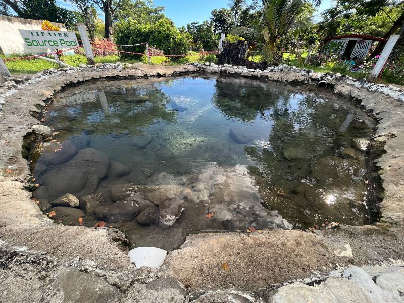 Fiji_Sabeto_Hot_Spring_Mud_Pool_9