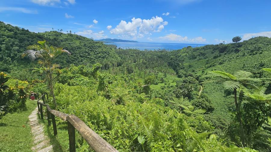 Fiji_Tavoro_Falls_4