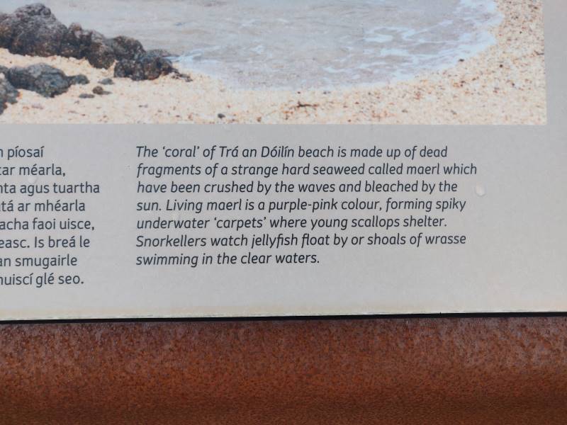 Galway_Catch_Sun_at_Coral_Strand_4