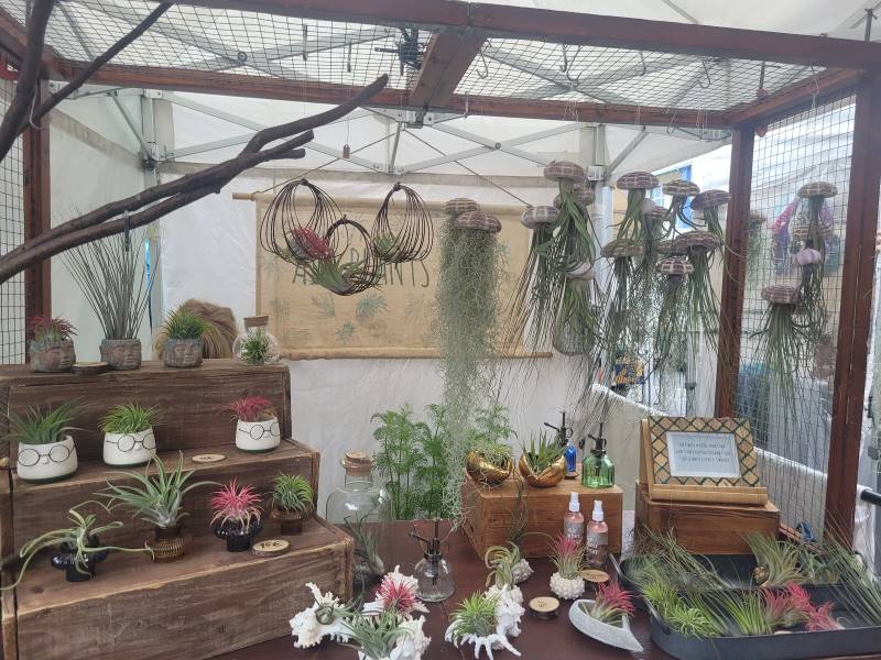 Galway_Galway_Market_2