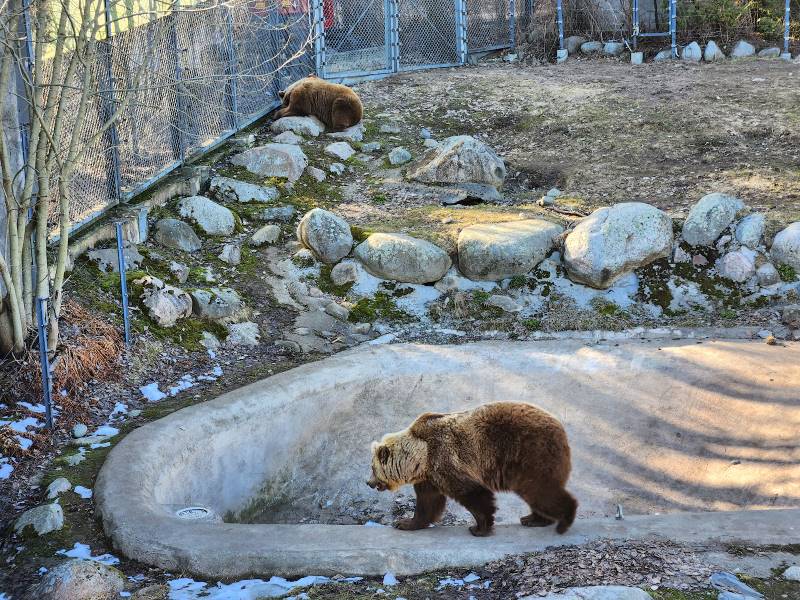 Helsinki_Korkeasaari_Zoo_5