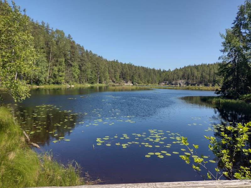 Helsinki_Nuuksio_National_Park_1