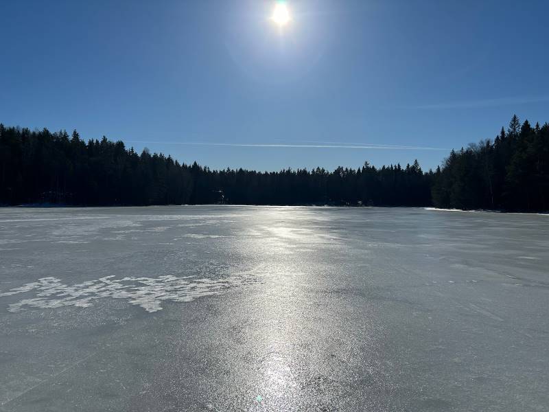 Helsinki_Taiga_Forest_Trek_6
