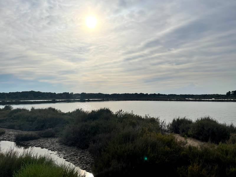 Ibiza_Birdwatching_at_Ses_Salines_10
