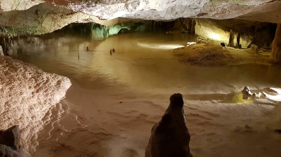 Ibiza_Can_Marca_Caves_2