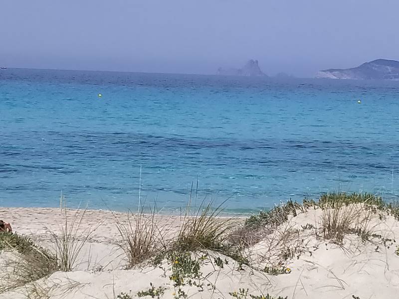 Ibiza_Jockey_Club_Salinas_9