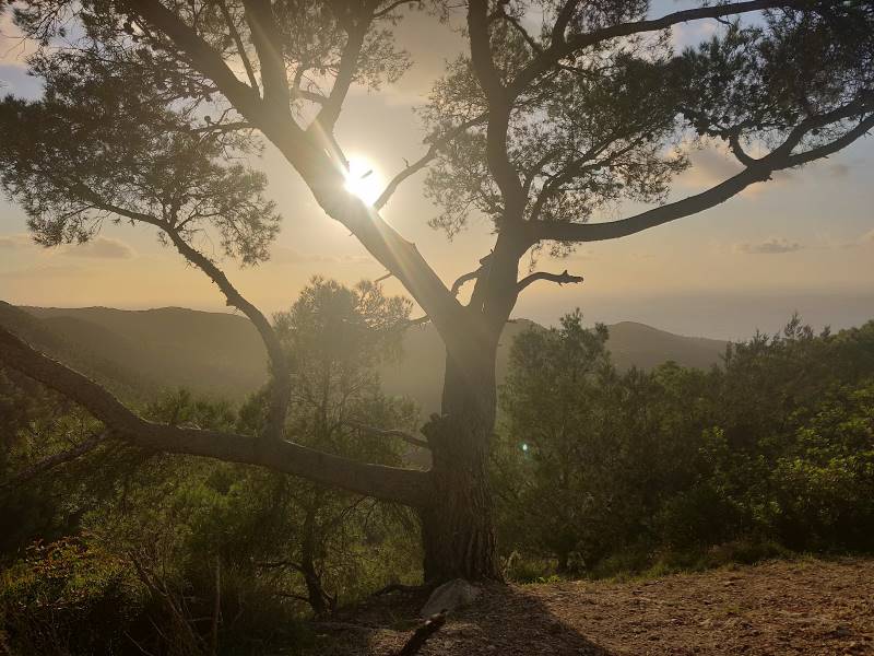 Ibiza_Sa_Talaia_7